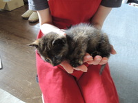 DSCN2223.JPG