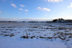 img_8143